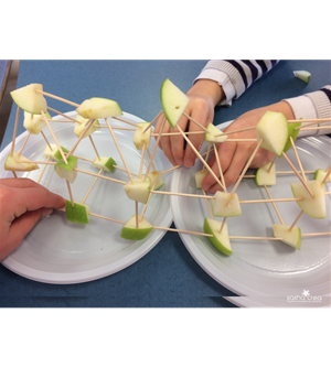 NATURE Crafts